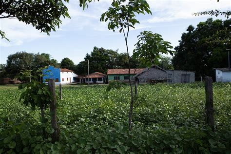 motorcycle tires on amazon|In the Brazilian Amazon, seedlings offer hope for drying rivers.